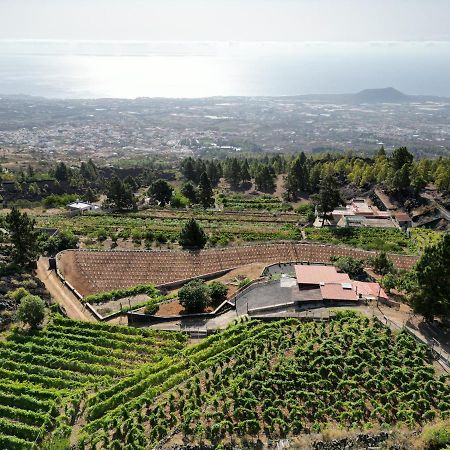 Finca Ecologica Ferrera. Alojamiento Rural. Arafo 외부 사진